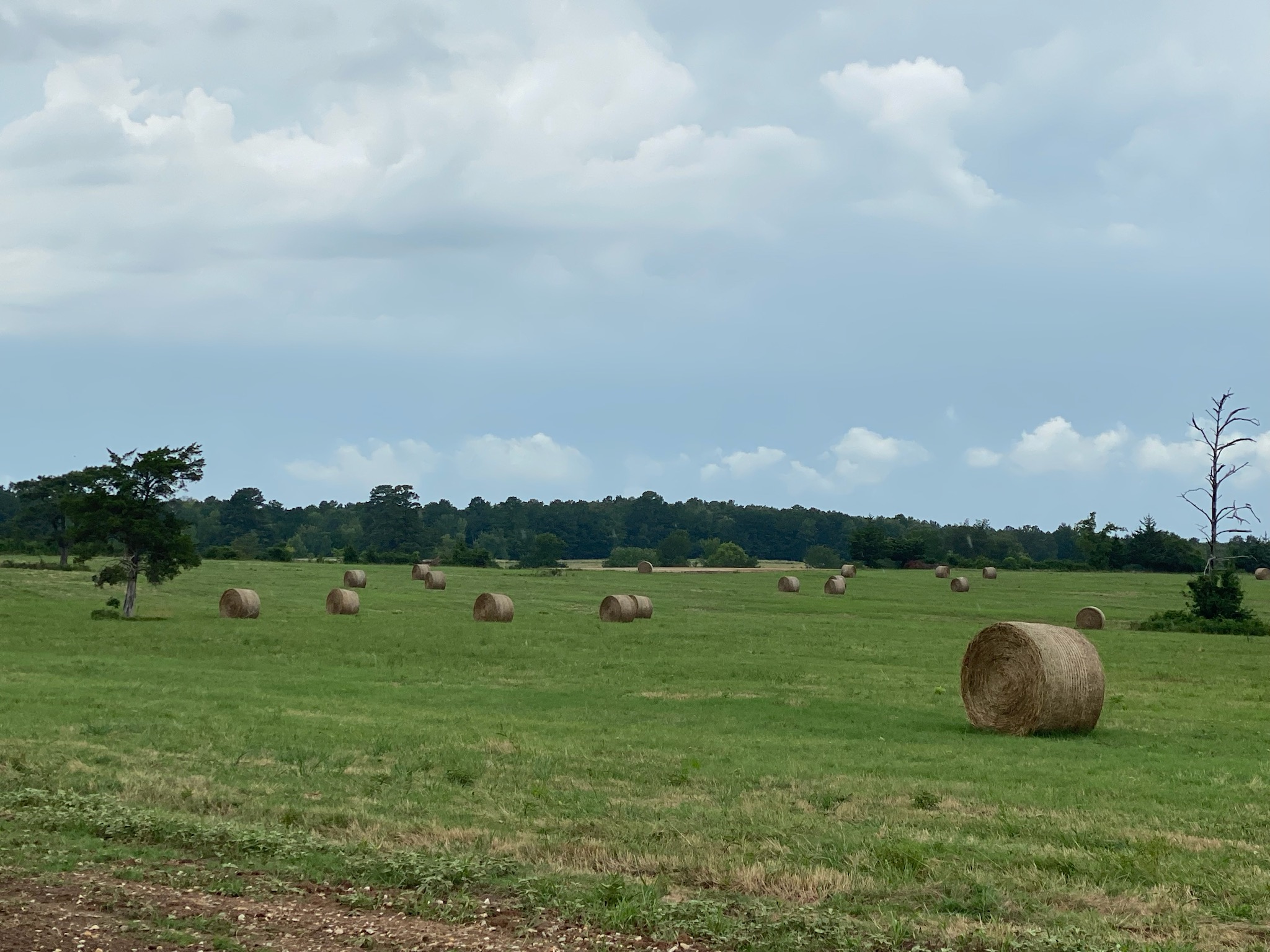 Campo abierto con pacas