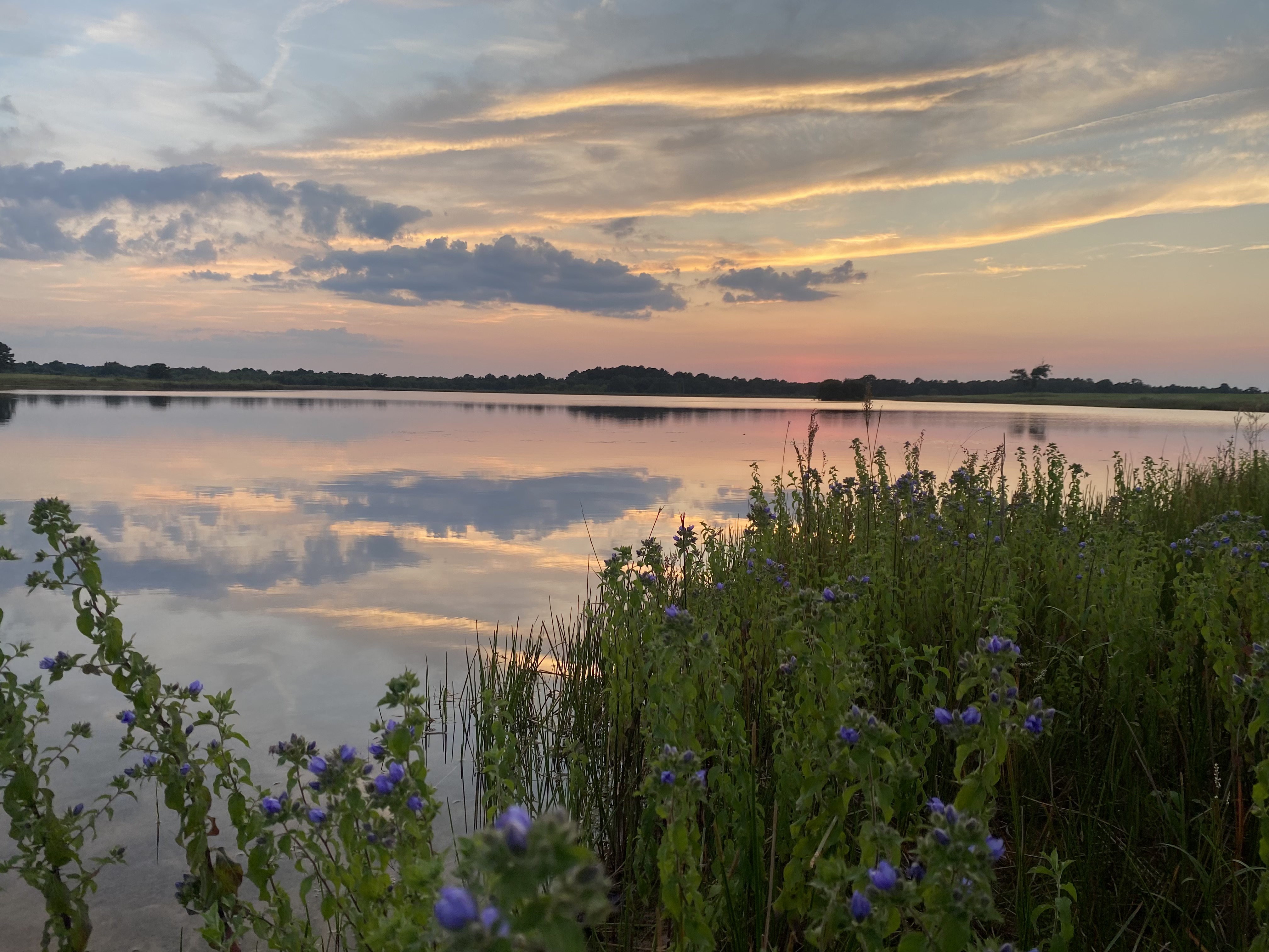 Lago al atardecer